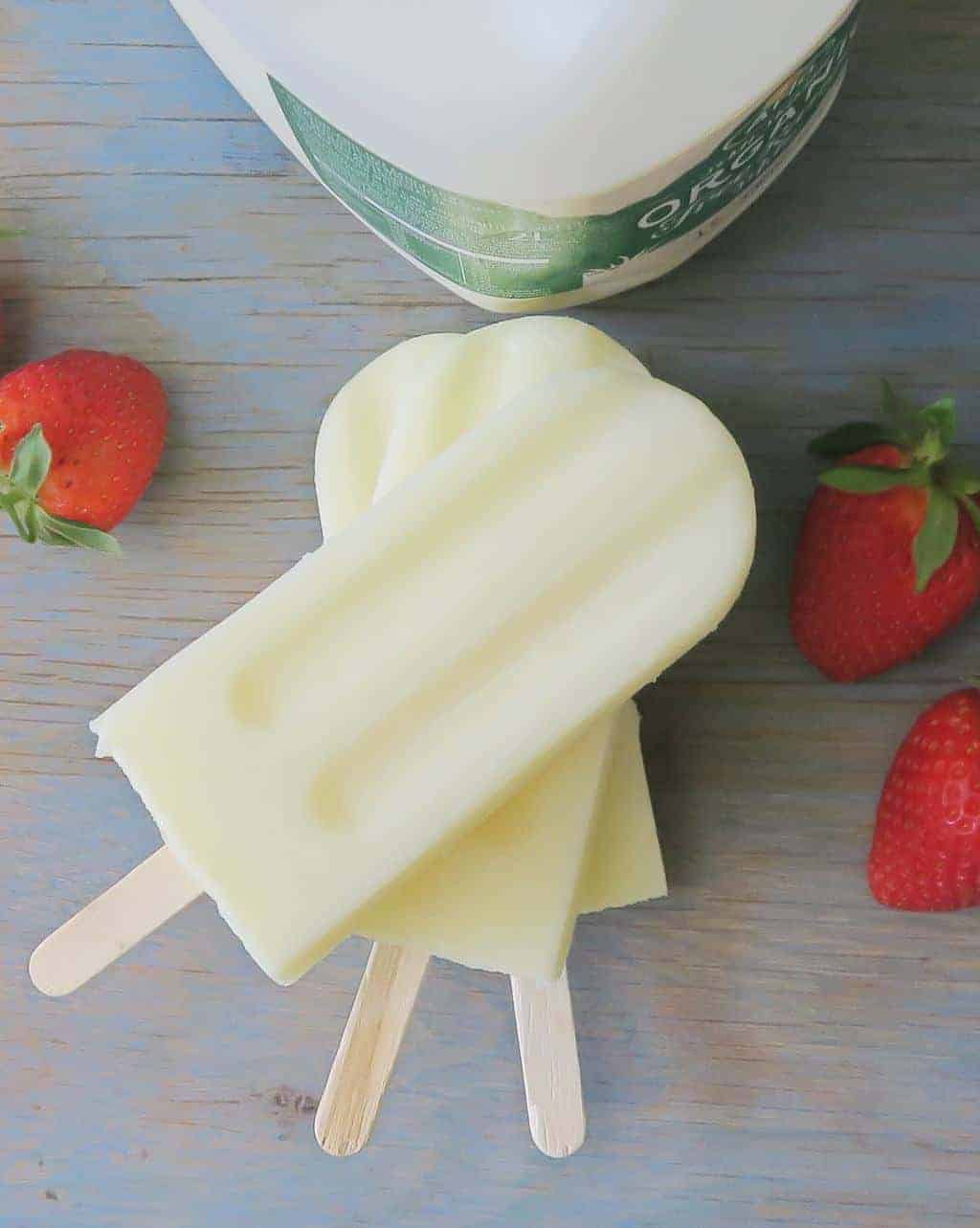 Diy ice shop lolly moulds